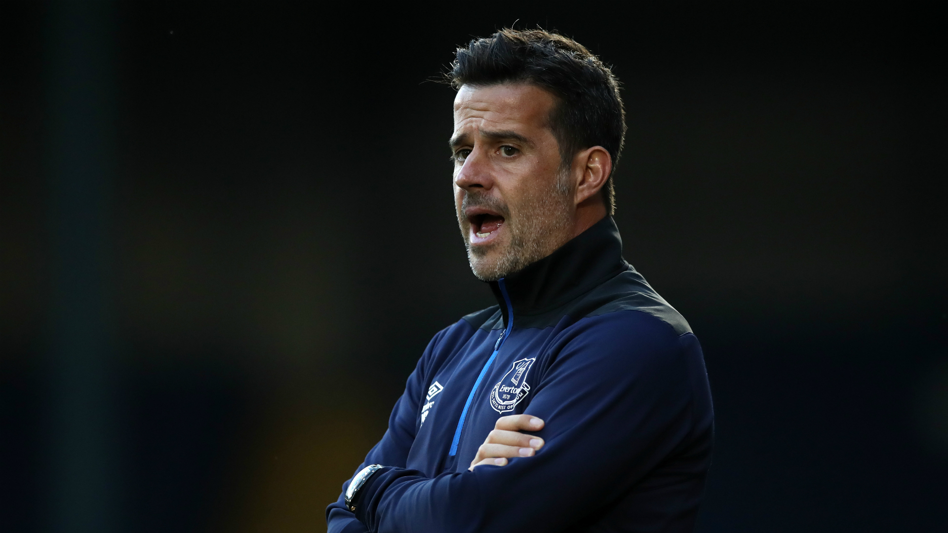 双星争辉 双星争辉